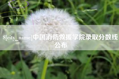 绵阳中国消防救援学院录取分数线公布