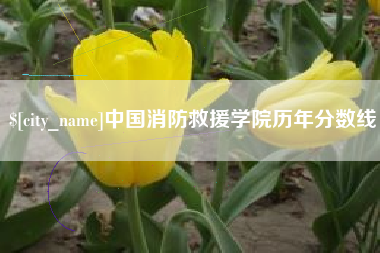 绵阳中国消防救援学院历年分数线