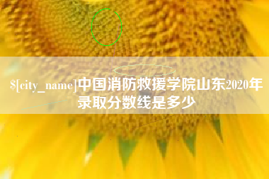 绵阳中国消防救援学院山东2020年录取分数线是多少