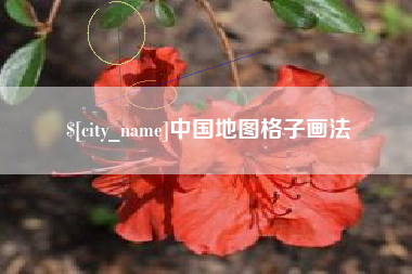 绵阳中国地图格子画法