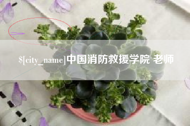 绵阳中国消防救援学院 老师