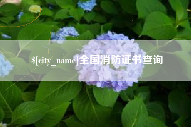 绵阳全国消防证书查询