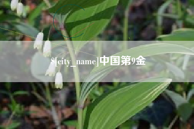 绵阳中国第9金