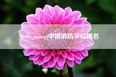 绵阳中国消防学校排名