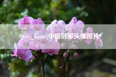 绵阳中国冠军头像图片