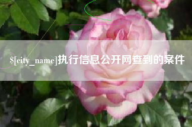 绵阳执行信息公开网查到的案件