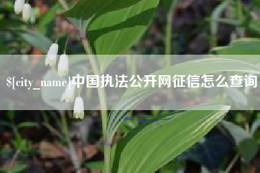 绵阳中国执法公开网征信怎么查询
