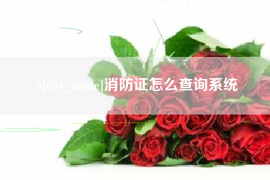 绵阳消防证怎么查询系统