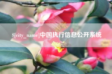 绵阳中国执行信息公开系统