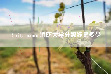 绵阳消防大学分数线是多少