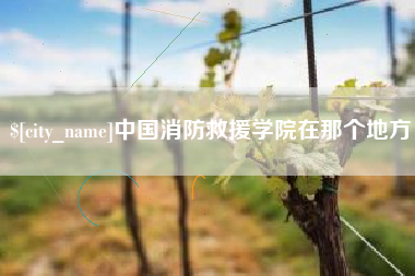 绵阳中国消防救援学院在那个地方