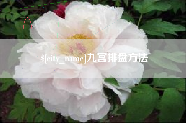 绵阳九宫排盘方法