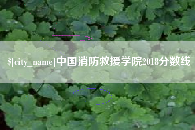 绵阳中国消防救援学院2018分数线