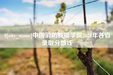 绵阳中国消防救援学院2020年各省录取分数线