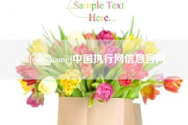 绵阳中国执行网信息官网