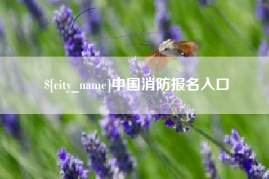绵阳中国消防报名入口