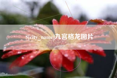 绵阳九宫格龙图片