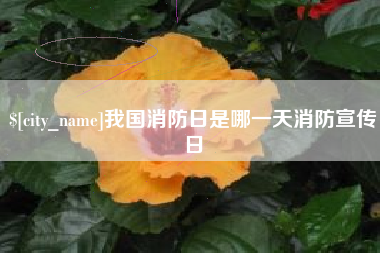 绵阳我国消防日是哪一天消防宣传日