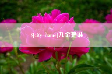 绵阳九金是谁
