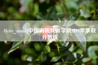 绵阳中国消防救援学院2019年录取分数线