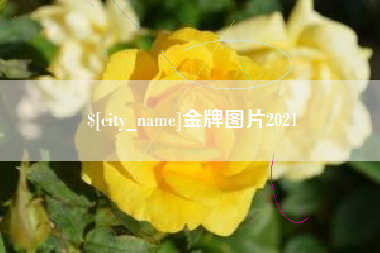 绵阳金牌图片2021