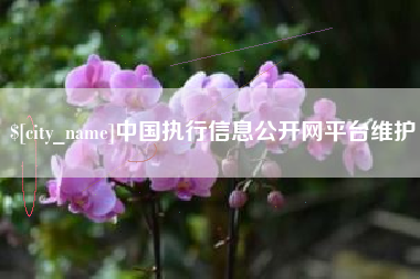 绵阳中国执行信息公开网平台维护