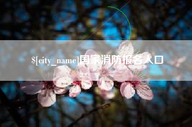 绵阳国家消防报名入口