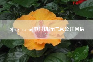 绵阳中国执行信息公开网后