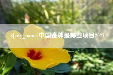 绵阳中国金牌是哪些项目2021
