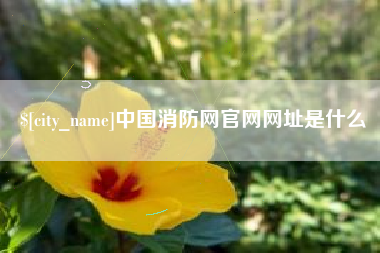 绵阳中国消防网官网网址是什么