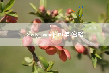 绵阳2021年9宫格