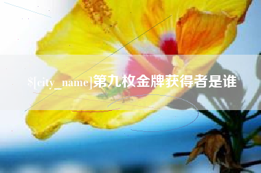 绵阳第九枚金牌获得者是谁