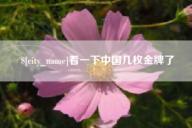 绵阳看一下中国几枚金牌了