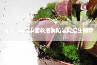 绵阳中国救援消防学院招生简章