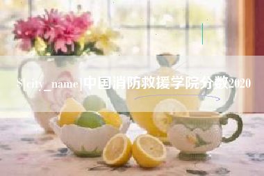 绵阳中国消防救援学院分数2020