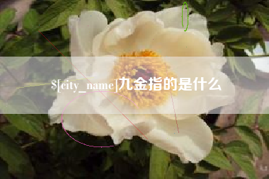 绵阳九金指的是什么