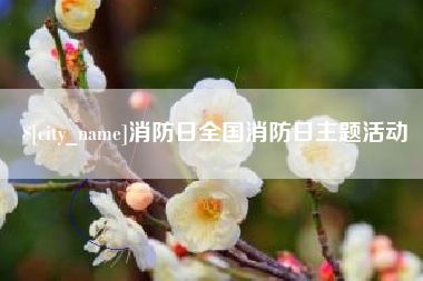 绵阳消防日全国消防日主题活动