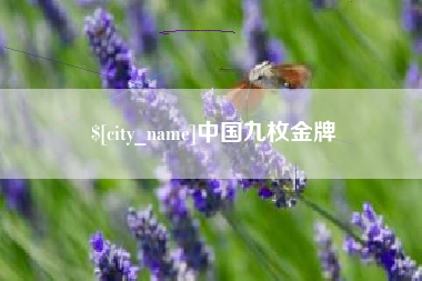 绵阳中国九枚金牌