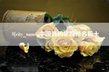 绵阳中国消防学院排名前十