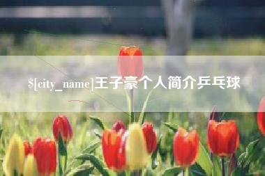 绵阳王子豪个人简介乒乓球