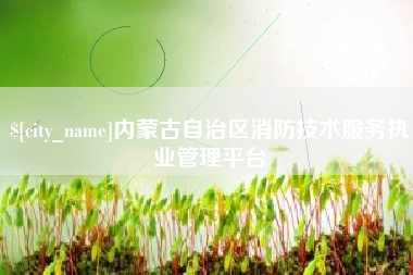 绵阳内蒙古自治区消防技术服务执业管理平台