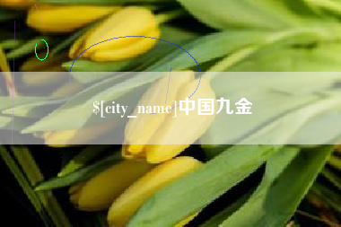 绵阳中国九金