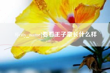 绵阳看看王子豪长什么样