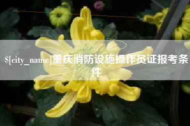 绵阳重庆消防设施操作员证报考条件