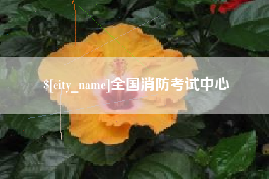 绵阳全国消防考试中心