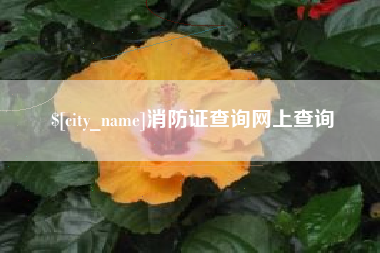 绵阳消防证查询网上查询