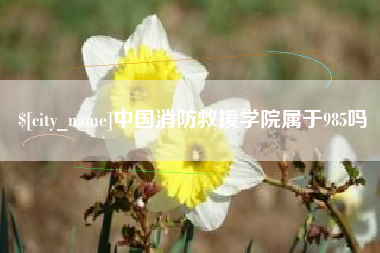 绵阳中国消防救援学院属于985吗