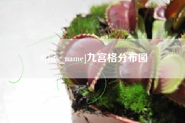 绵阳九宫格分布图