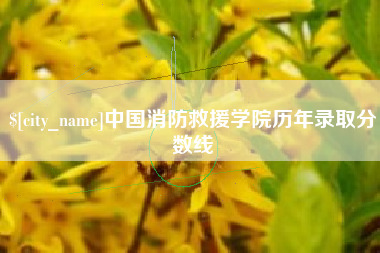 绵阳中国消防救援学院历年录取分数线