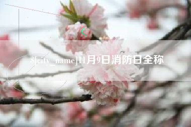绵阳11月9日消防日全称